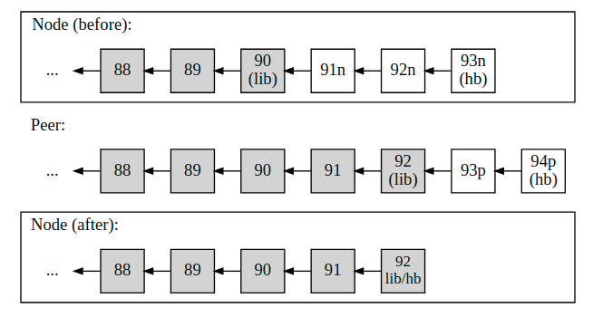 Network Peer Protocol EOSIO Developer Docs(4).png