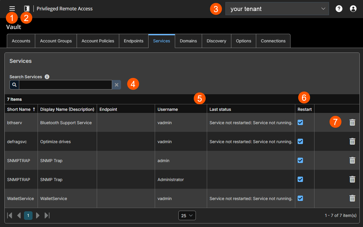 An image of a Privileged Remote Access interface showing the Services tab. The interface includes navigation options such as Accounts, Account Groups, Account Policies, Endpoints, Services, Domains, Discovery, and Options. 
