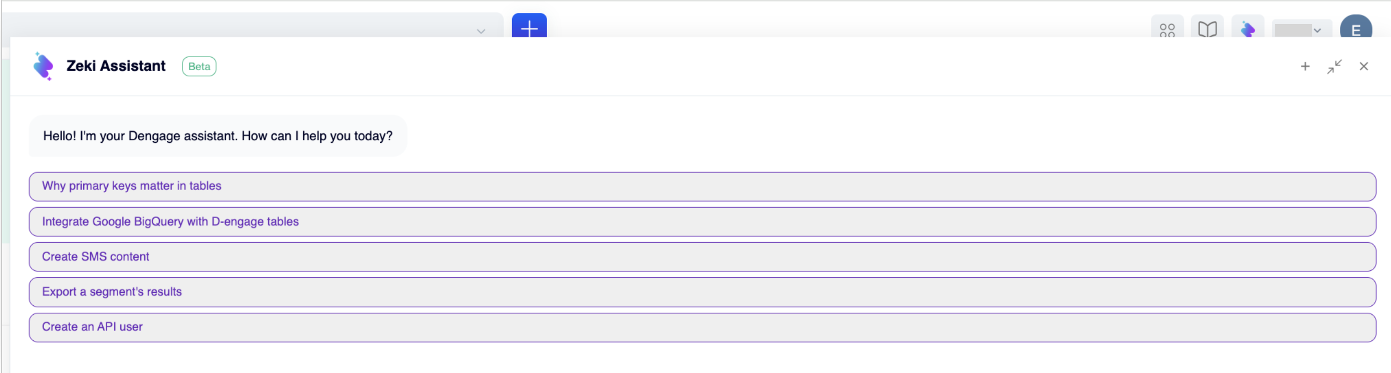 Zeki Assistant panel in the extended view, with the Beta badge, a welcome message, and five suggested questions such as Create an sms content