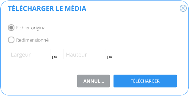 FR_d_downloadAsset.png
