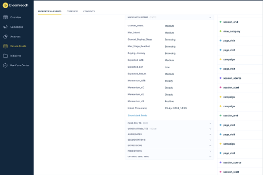 Individual customer profile showing Made With Intent properties and current values