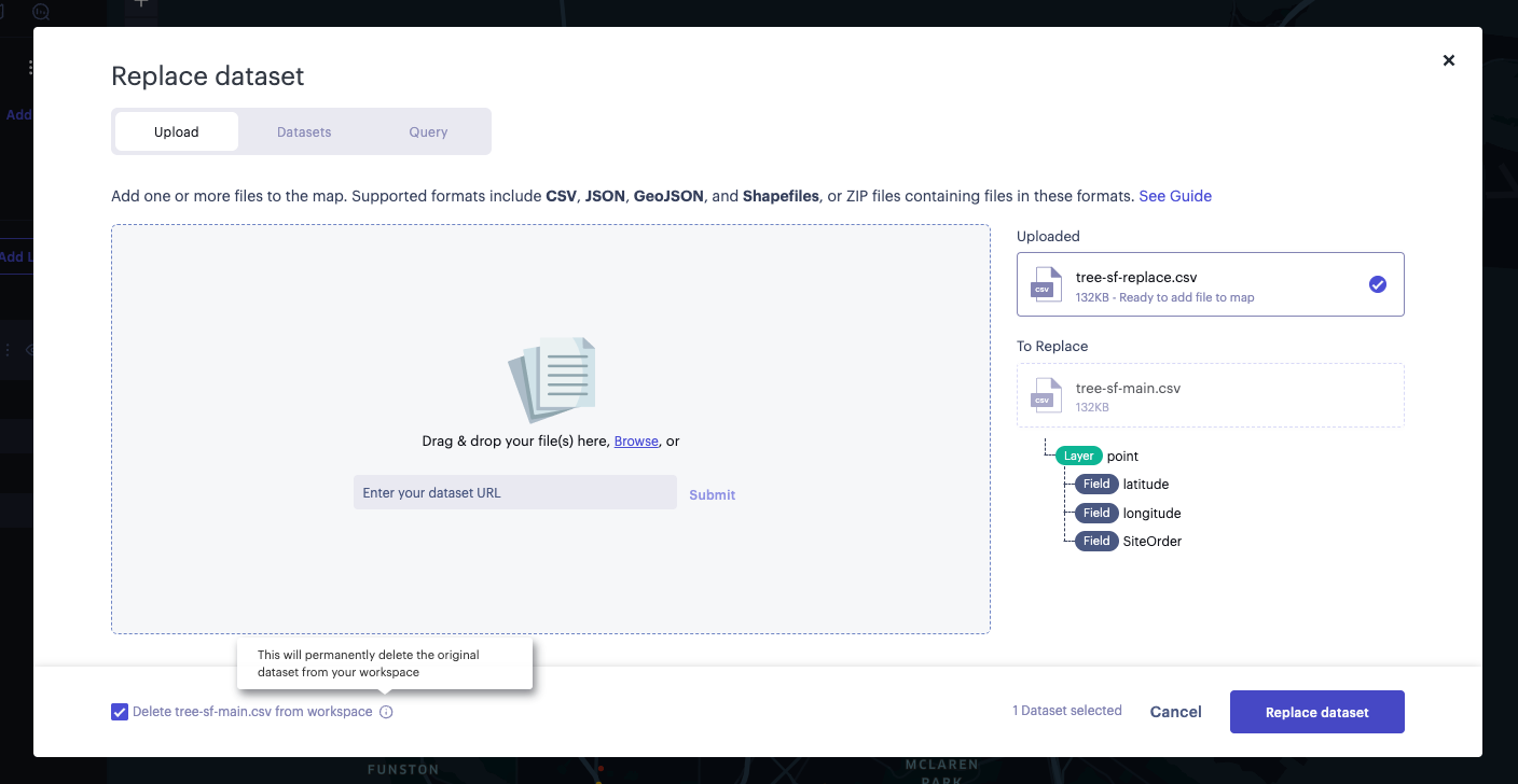 Delete original dataset from workspace option in replace dataset dialog.