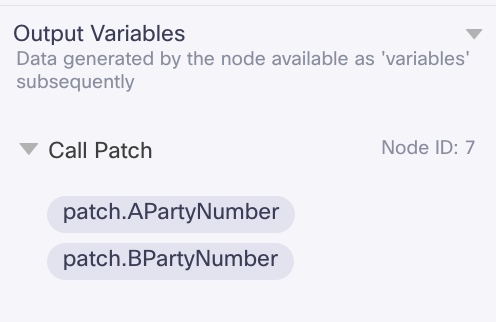 Call Patch Output Variables