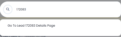 Screenshot of the lead search