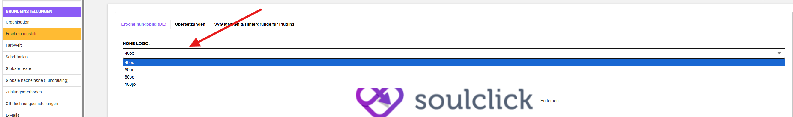 Logo-Größen Optionen