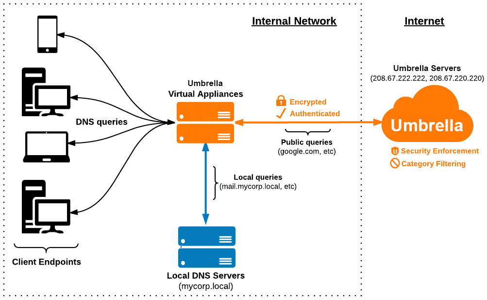 Dns Chart