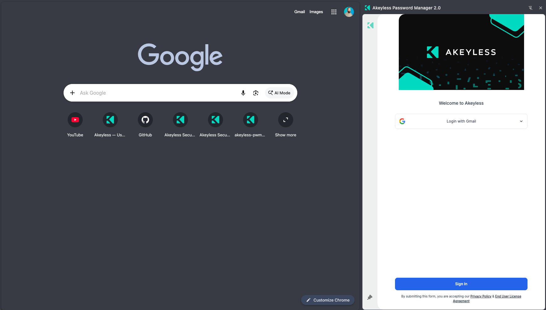 The extension docked beside a page