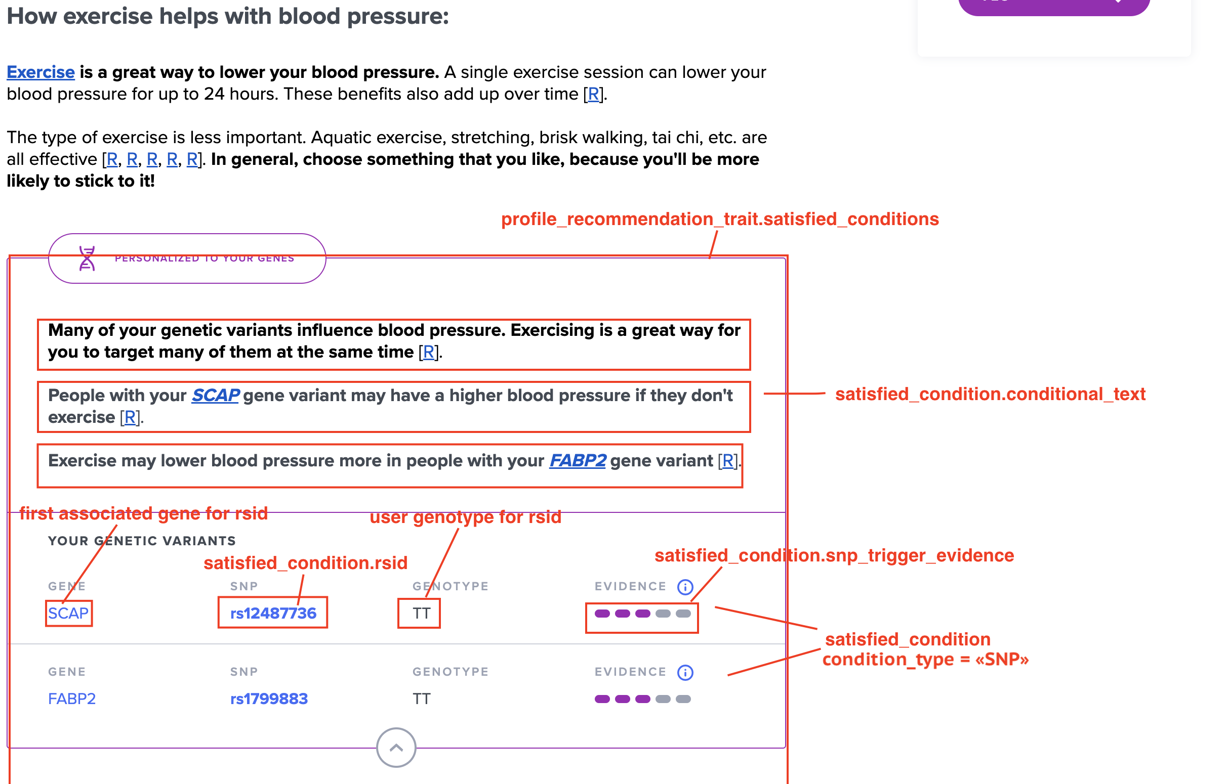regular-recommendations-personalized-to-genes.png