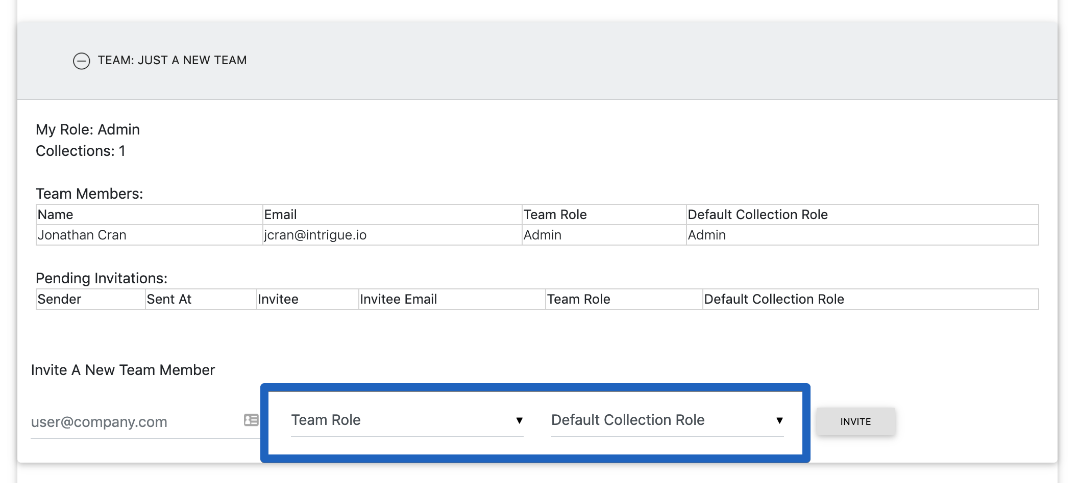 Intrigue.io 2020-03-19 23-03-43(1).png Specify a team role and a default collection role when inviting a new user to the team.