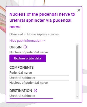 Exploration Mode: after selecting a path