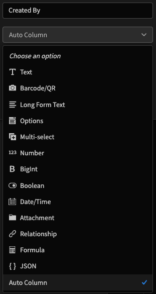 Selecting the 'Auto Column' data type