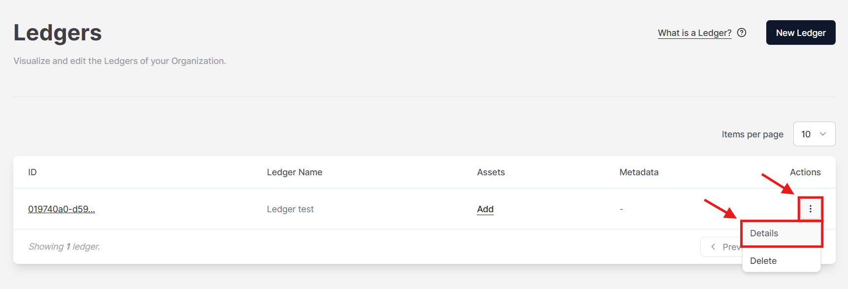 Figure 1. Option to open the details of the Ledger.