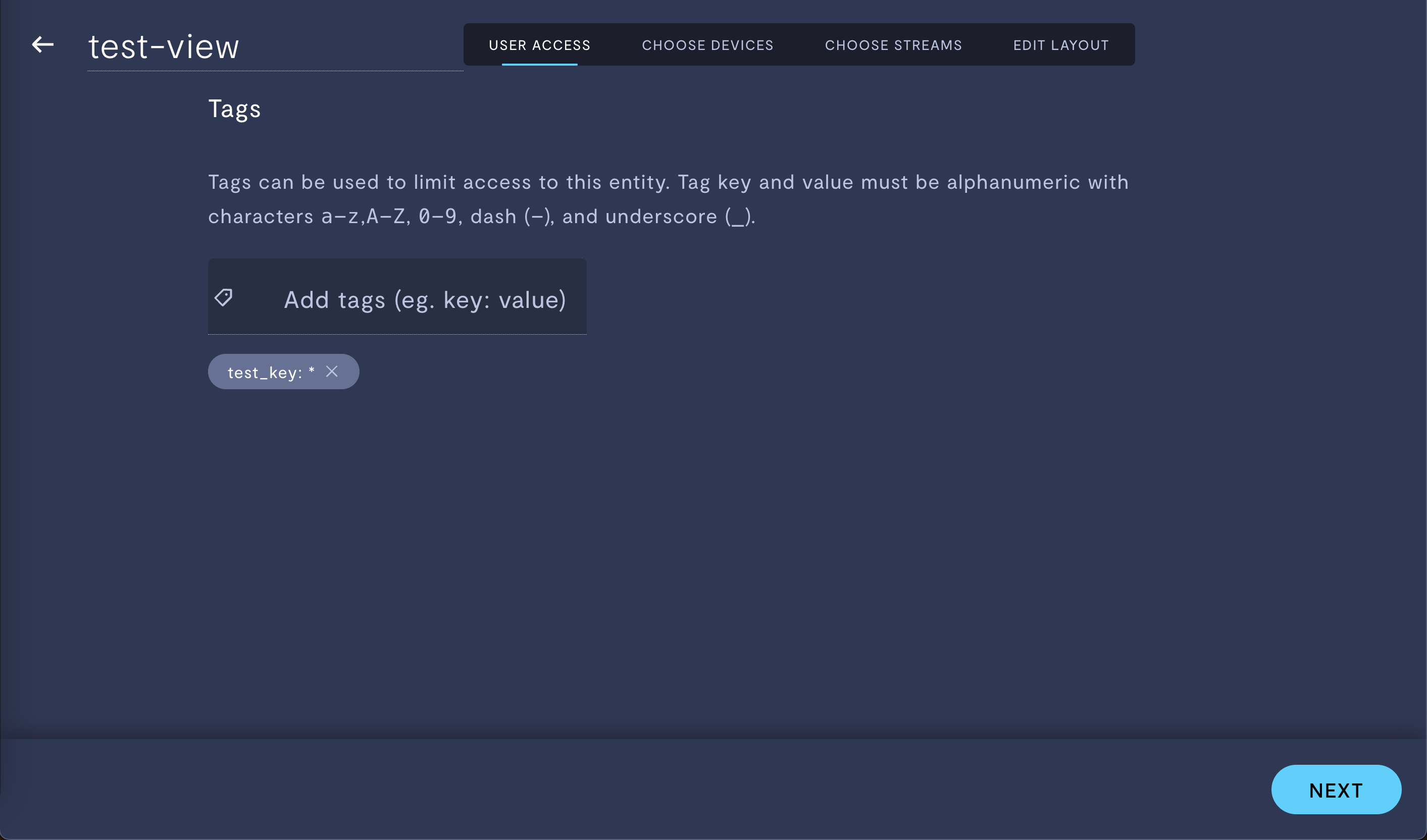 Granting access to a view to all users with the tag key `test_key`, regardless of the tag value.