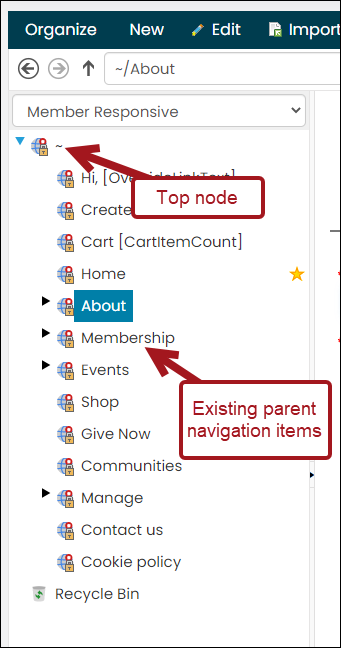 Adding new menus and task list items