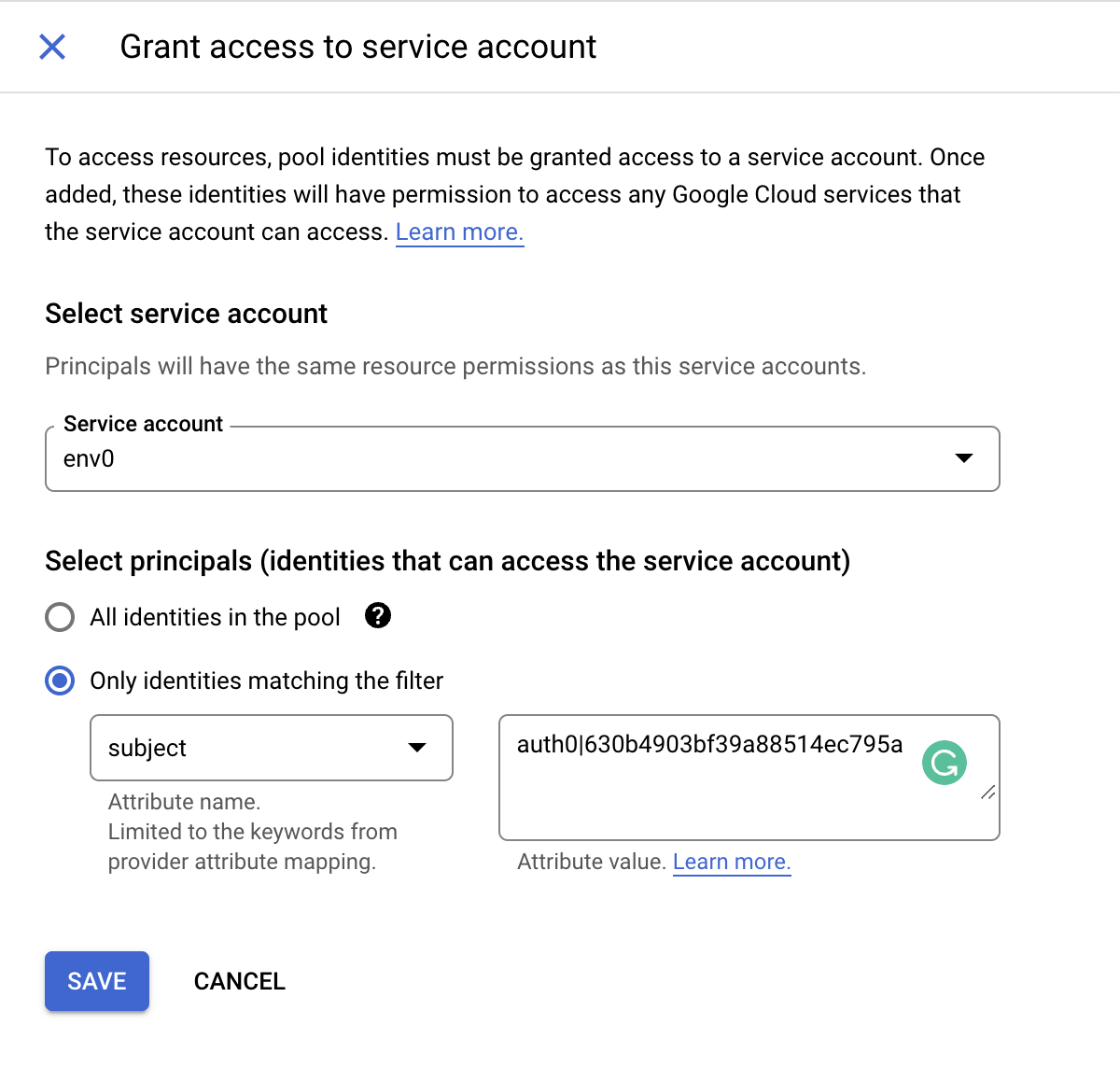 Grant Access to Service Account