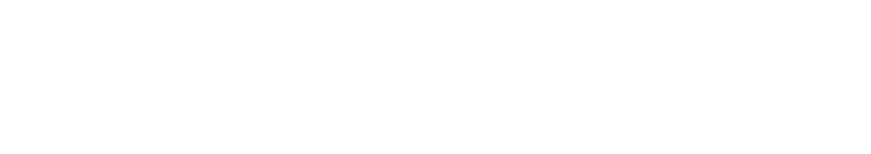 Qonversion