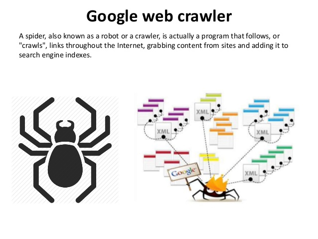 Web Crawler Escort